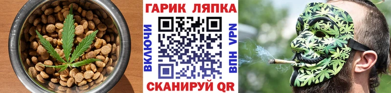 как найти закладки  Новоржев  Cannafood конопля 