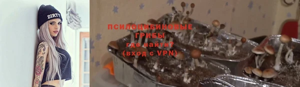 молекула духа Михайловка