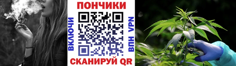 МАРИХУАНА Amnesia  Новоржев 